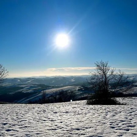Degli Olmi 招待所 圣彼得罗-泰尔梅堡