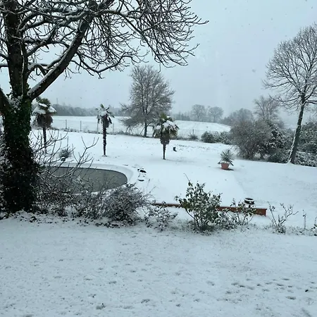 招待所 Degli Olmi