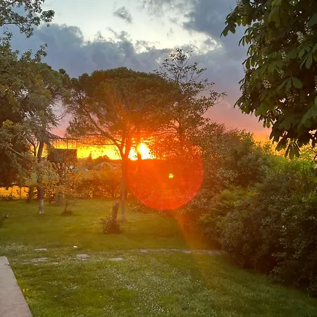 Degli Olmi