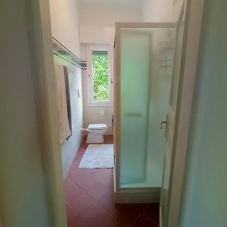 Degli Olmi