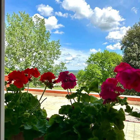 Degli Olmi * 圣彼得罗-泰尔梅堡